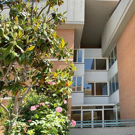 Holihome Salmiro